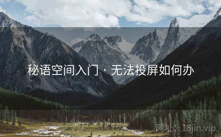 秘语空间入门 · 无法投屏如何办