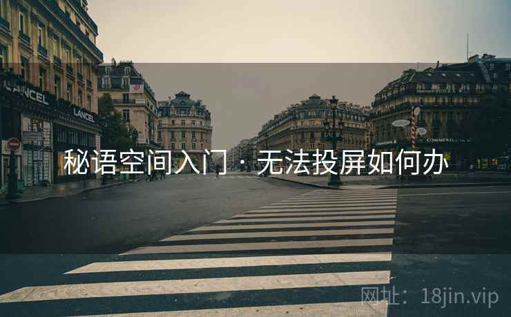 秘语空间入门 · 无法投屏如何办