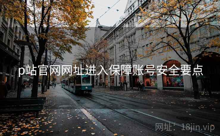 p站官网网址进入保障账号安全要点