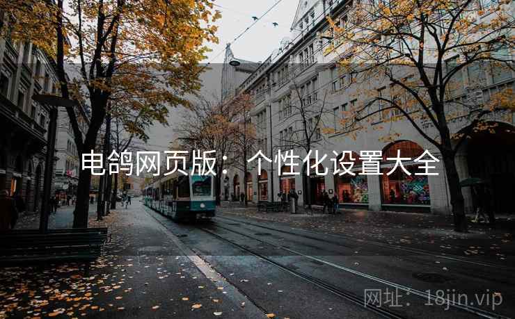 电鸽网页版：个性化设置大全