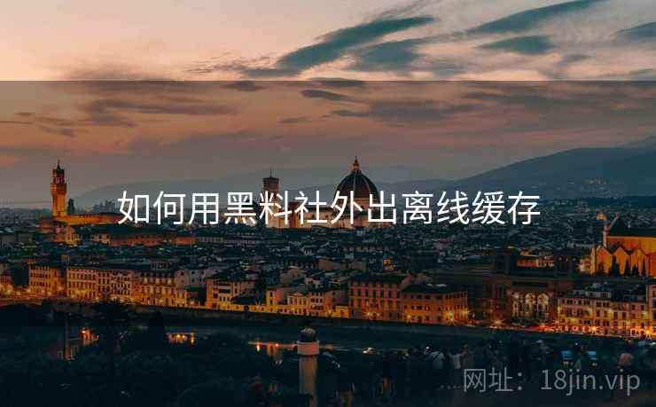 如何用黑料社外出离线缓存