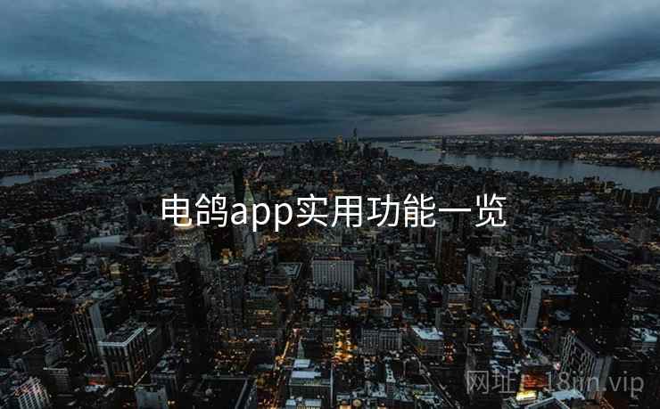 电鸽app实用功能一览