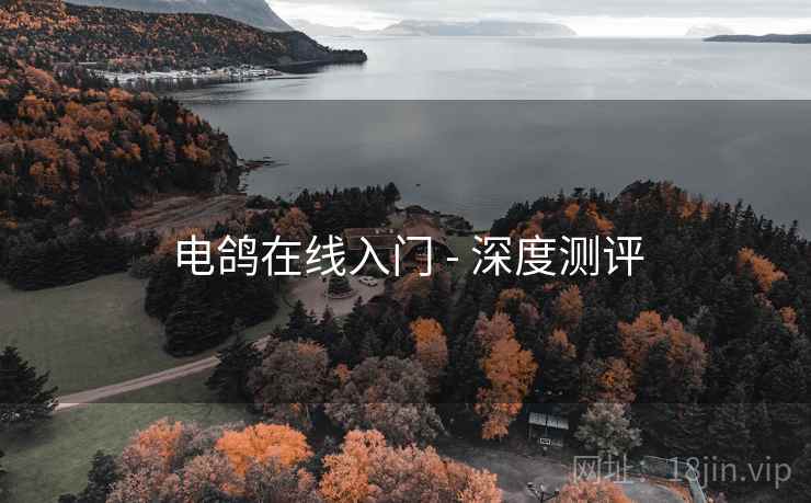 电鸽在线入门 - 深度测评