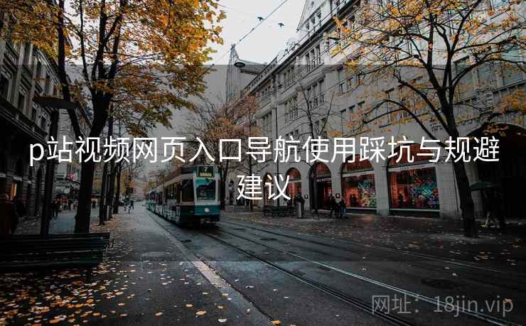 p站视频网页入口导航使用踩坑与规避建议