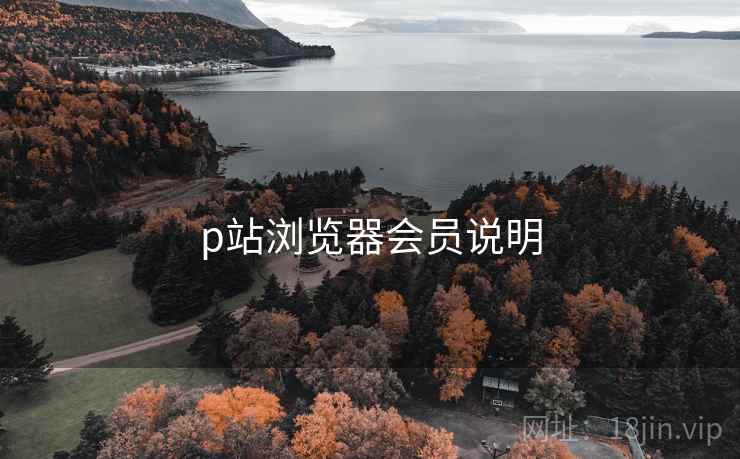 p站浏览器会员说明